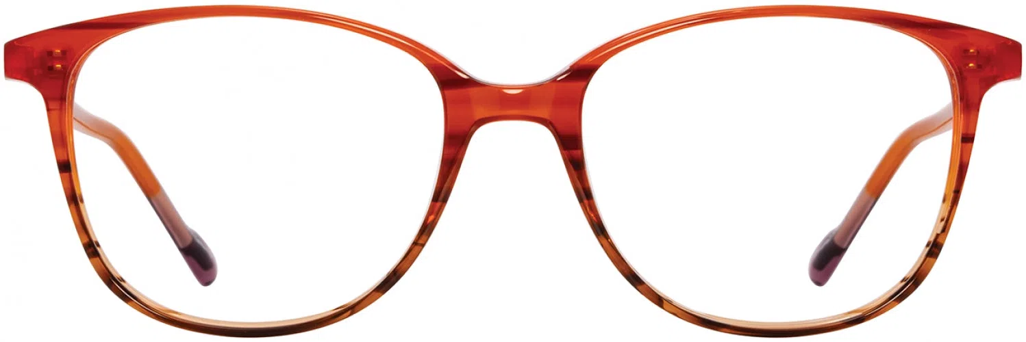 Scott Harris SHX028 Eyeglasses - view 7